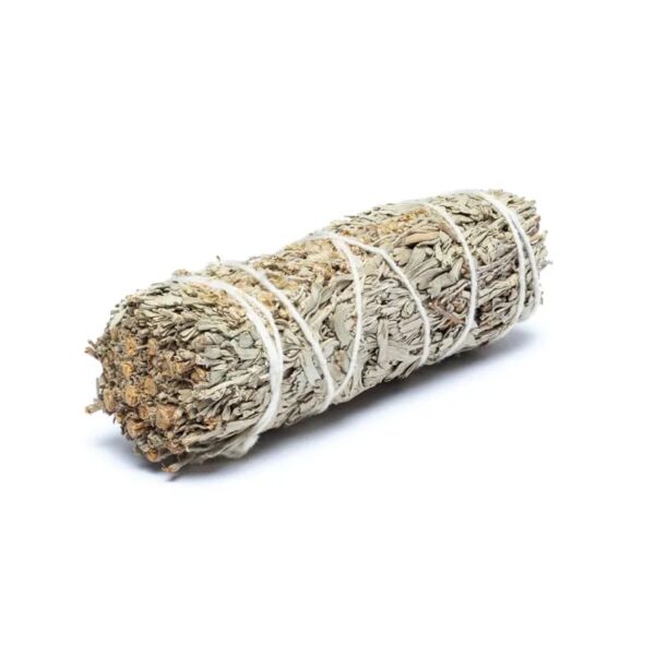 Shasta Salbei Smudge